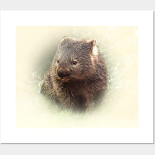 Wombat Posters and Art